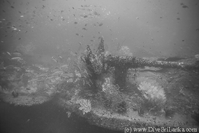 HMS Hermes propeller